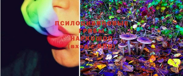 дурь Покачи