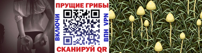 Псилоцибиновые грибы мухоморы  Няндома 
